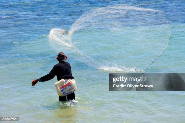 net fishing in nukualofa harbour. - nukualofa harbour stock pictures, royalty-free photos & images