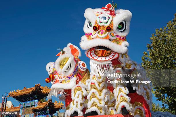 head of chinese dragon puppet. - chinese dragon stock pictures, royalty-free photos & images