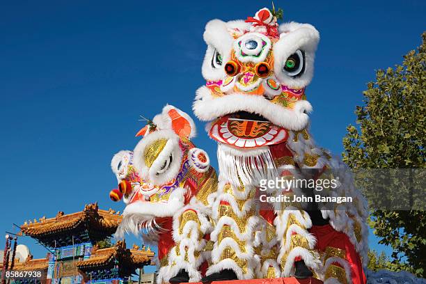 head of chinese dragon puppet. - dragão chinês imagens e fotografias de stock