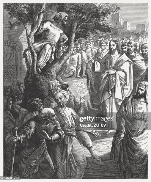 Zaqu 5,421 Sycamore Tree Stock Photos, High-Res Pictures, and Images - Getty ...