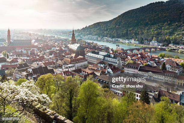 high angle view of houses in town against sky - baden wurttemberg stock pictures, royalty-free photos & images