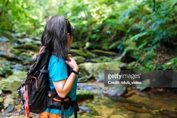 exploring a forest in okinawa japan - tdub_video stock pictures, royalty-free photos & images