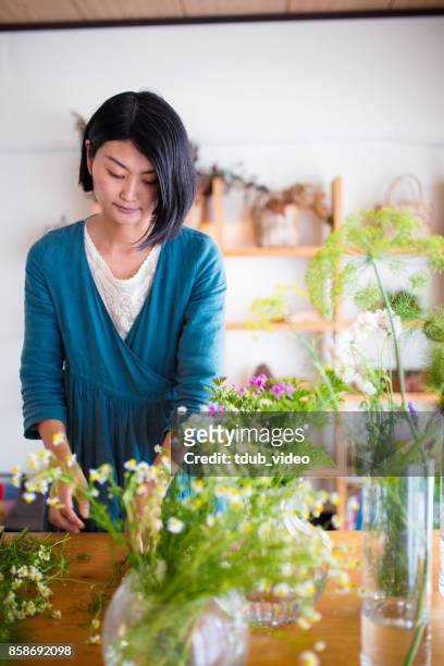 florist at the shop - tdub_video stock pictures, royalty-free photos & images