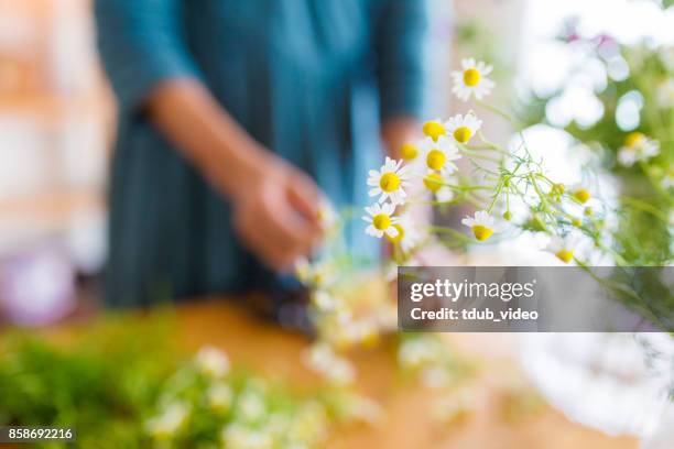 florist at the shop - tdub_video stock pictures, royalty-free photos & images