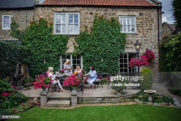 comida en el jardín con amigos - casita de campo fotografías e imágenes de stock