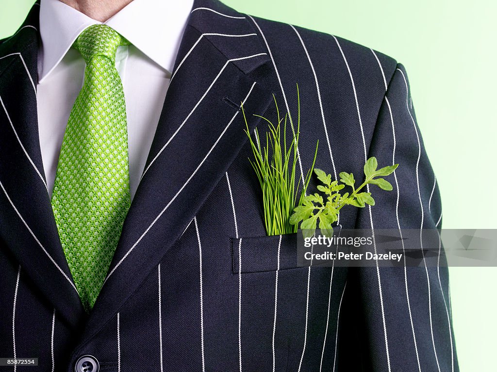 Businessman with green shoots.