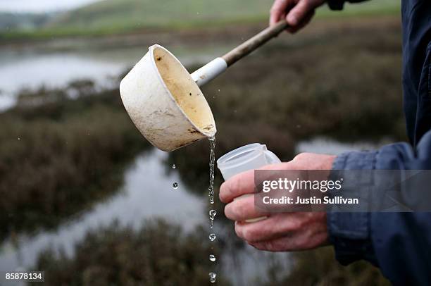 Contra Costa County Mosquito and Vector Control District technician Joe Hummel pours mosquito larvae samples into a plastic container April 9, 2009...