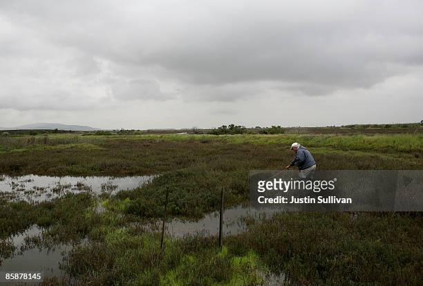 Contra Costa County Mosquito and Vector Control District technician Joe Hummel looks for mosquito larvae in a marsh April 9, 2009 in Martinez,...