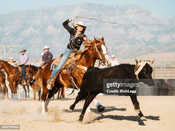 stile di vita da cowboy nello utah - recinto per bestiame foto e immagini stock