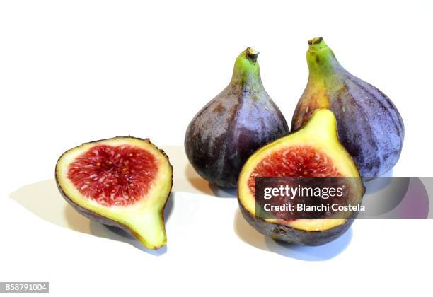 black figs on white background - fig imagens e fotografias de stock