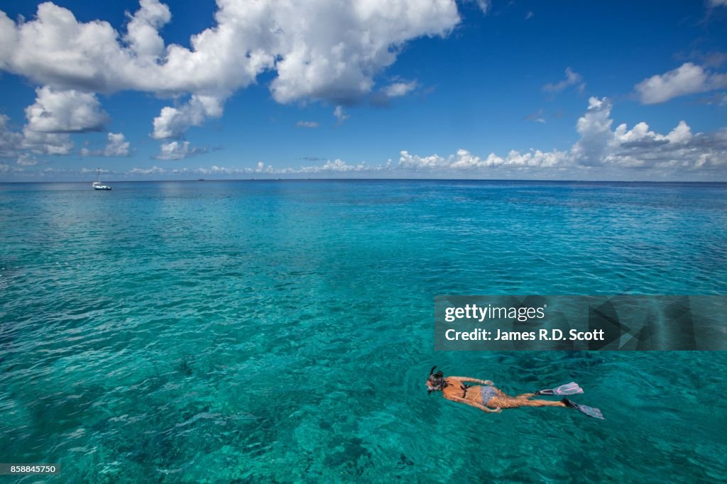 Snorkeling off the island of Cozumel
