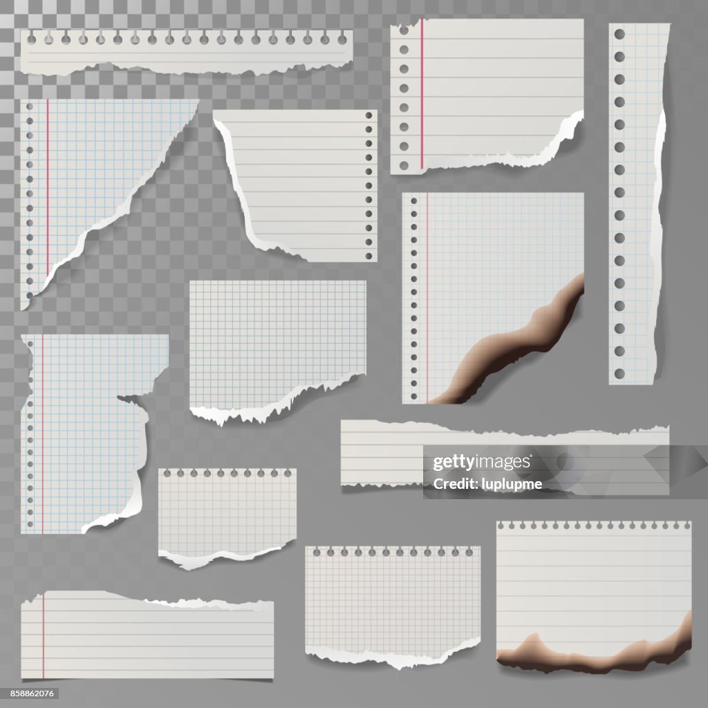 Torn Notebook Paper Vector