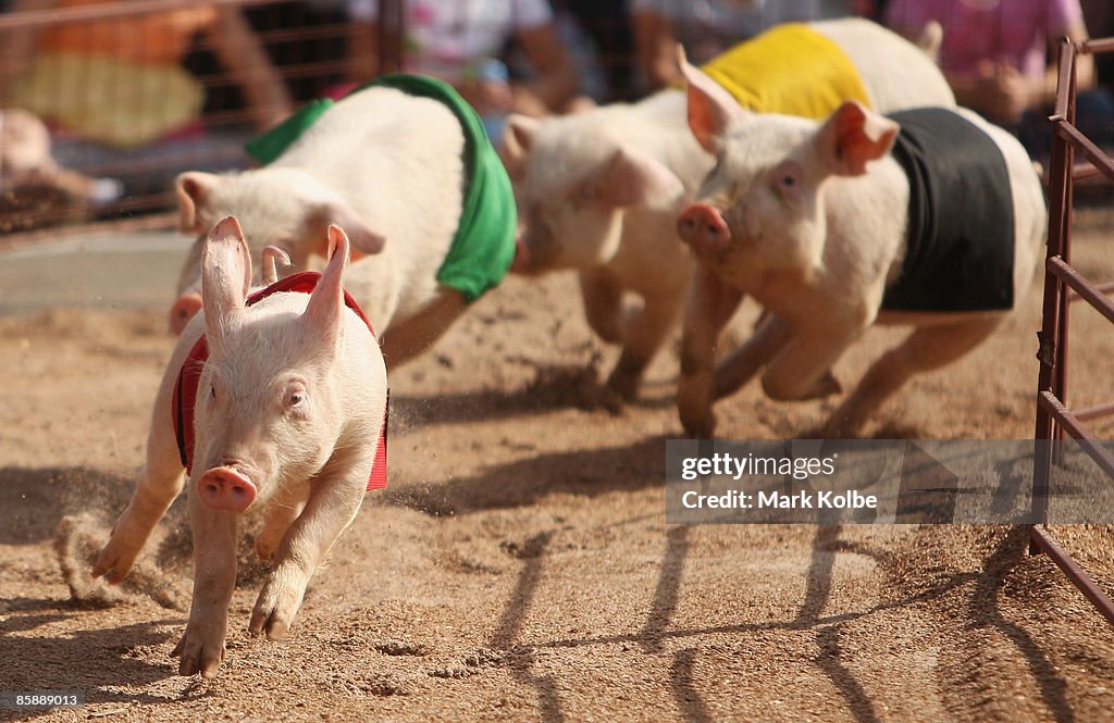 2009 Sydney Royal Easter Show