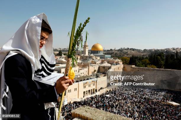 An Ultra-Orthodox Jewish worshiper holds the four plant species -- palm leave stalk, citrus, myrtle and willow-branches -- as he attends the annual...