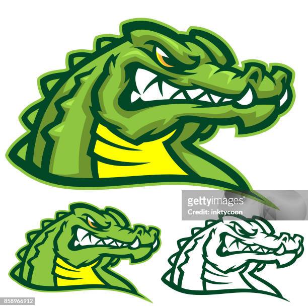 ilustraciones, imágenes clip art, dibujos animados e iconos de stock de kit deportivo de cocodrilos - alligator