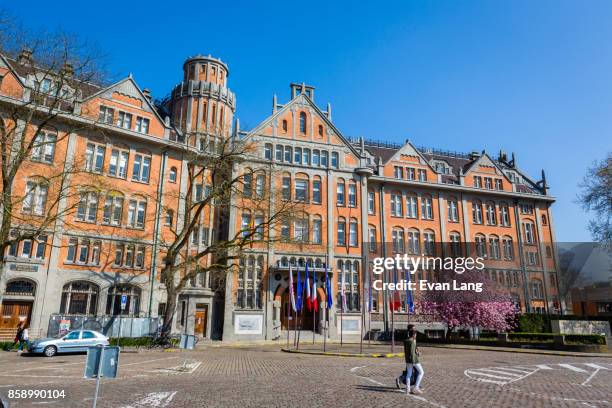 lille belfry and town hall - nord department france stock pictures, royalty-free photos & images