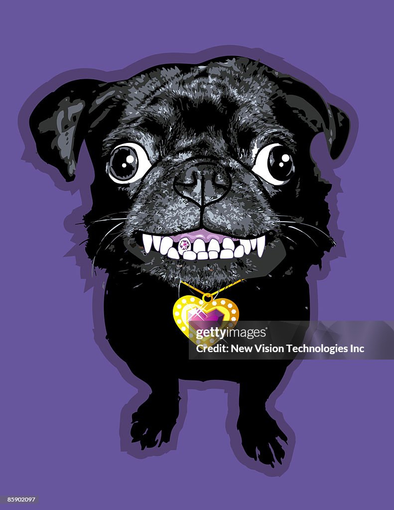 Pug with jeweled tooth wearing necklace