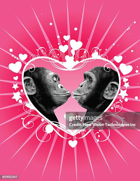 two chimpanzees kissing - valentine monkey stock-grafiken, -clipart, -cartoons und -symbole