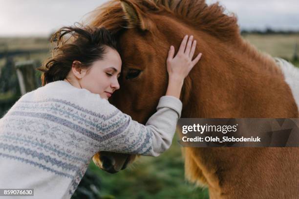 woman petting icelandic horse  on the meadow - iceland horse stock pictures, royalty-free photos & images