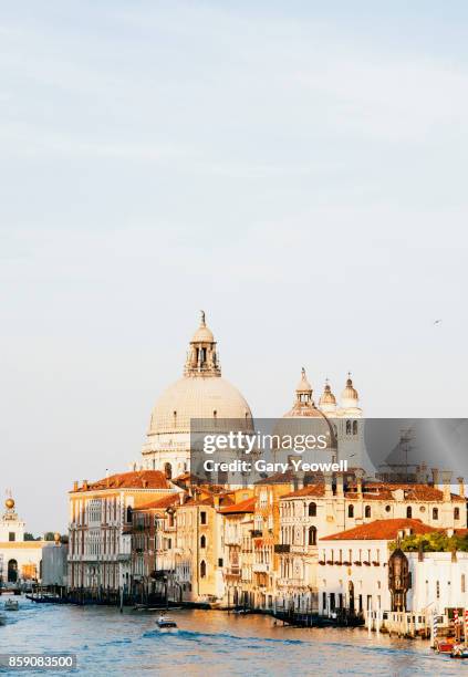 grand canal venice - santa maria della salute stock pictures, royalty-free photos & images