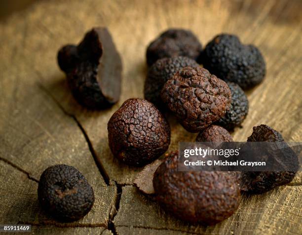 summer truffles - truffle stock pictures, royalty-free photos & images