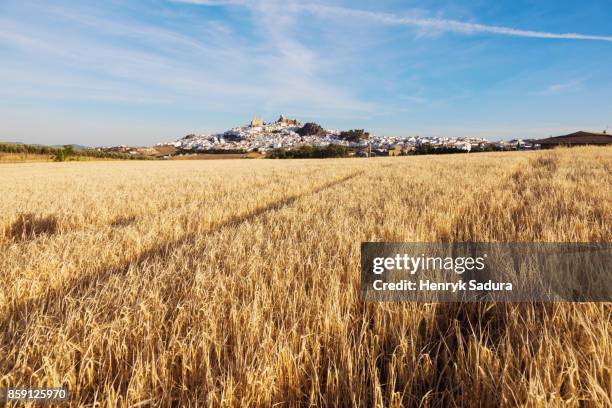 olvera panorama - rye castle stock pictures, royalty-free photos & images