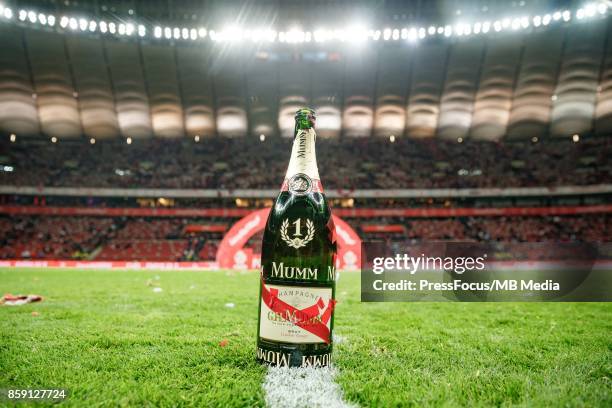 Celebration of the Polish national team after the promotion to the World Championship of Russia 2018 during the FIFA 2018 World Cup Qualifier between...