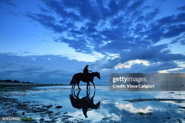 Ben Cadden riding Winx walks through the shallow waters of Altona Beach during a recovery session on October 9, 2017 in Melbourne, Australia.