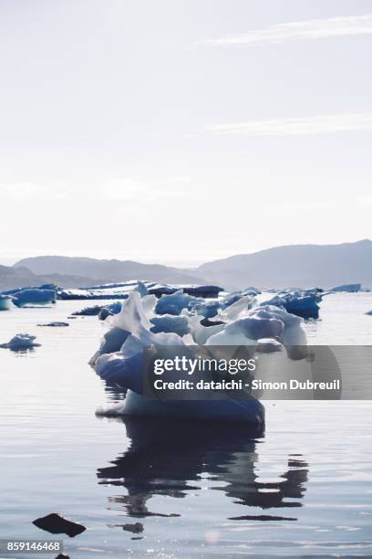 iceberg in the shape of a swan - block of ice sculpture stock pictures, royalty-free photos & images