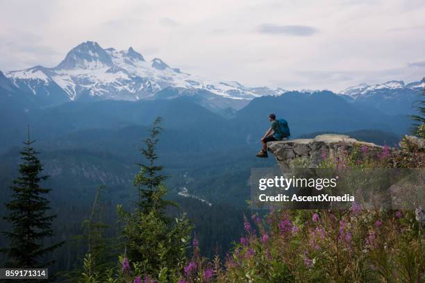 op de top van de wereld - vc stockfoto's en -beelden