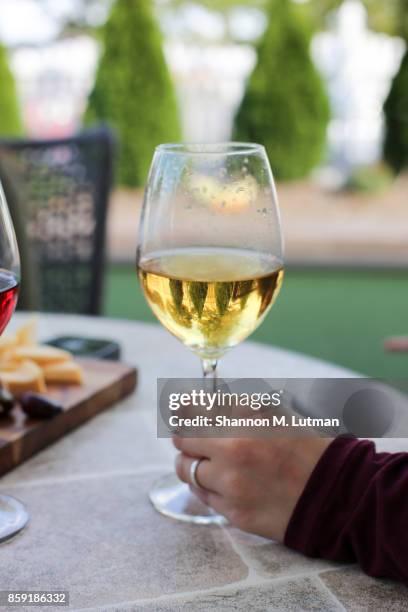 glass of white wine - toledo ohio stockfoto's en -beelden