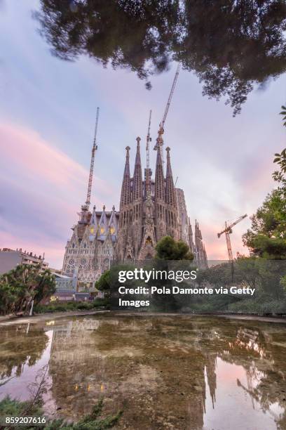 la sagrada familia church designed by antoni gaudi at sunset. unesco world heritage site, reflected in pond, barcelona, catalonia, spain. - catalonia square stock-fotos und bilder