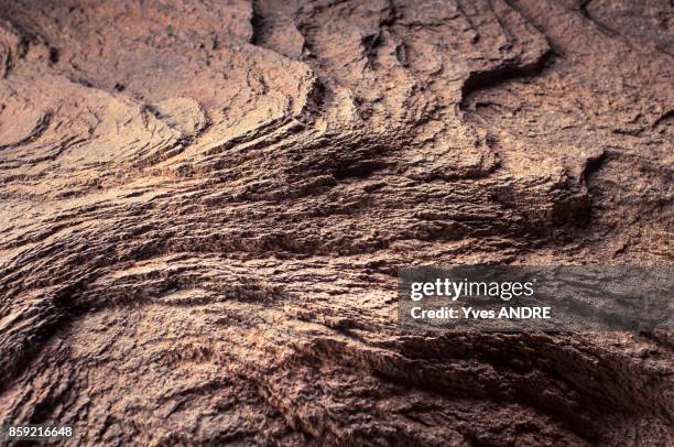 rock details close up - uluru rock stock-fotos und bilder