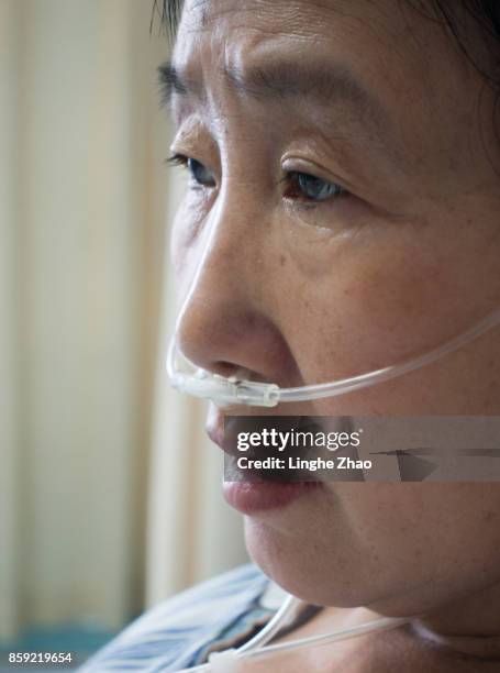 patient in hospital - linghe zhao stock pictures, royalty-free photos & images