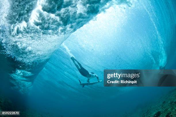 under the surfer - duck dive stock pictures, royalty-free photos & images