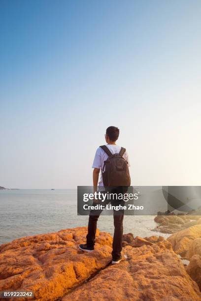 young man standing on the rock by sea - linghe zhao photos et images de collection