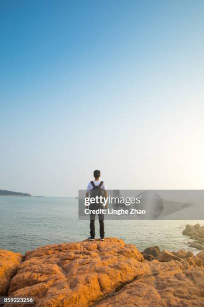 young man standing on the rock by sea - linghe zhao stock pictures, royalty-free photos & images
