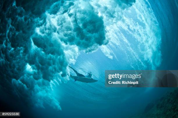 donkere duckdive - onder stockfoto's en -beelden