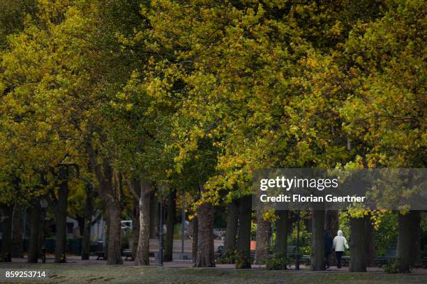 Woman walks along the lake Tegeler See through the Greenwich Promenade on October 07, 2017 in Berlin, Germany.