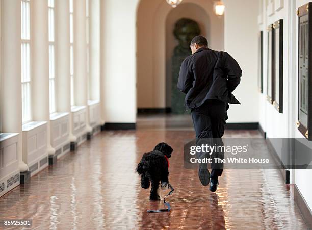 In this handout image released by the White House on April 13 U.S. President Barack Obama runs down a corridor with the family's new dog, Bo, a...