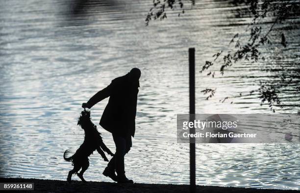 Man plays with his dog on October 08, 2017 in Berlin, Germany.