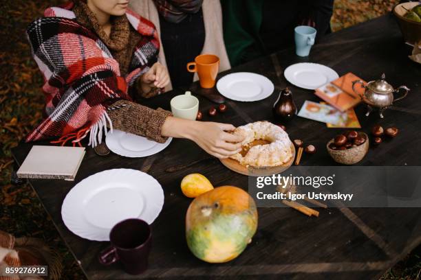 cozy autumn picnic in the garden - nuts magazine stock pictures, royalty-free photos & images