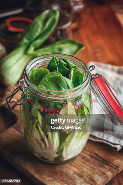 preservare il bok choy biologico nei barattoli - preservare foto e immagini stock