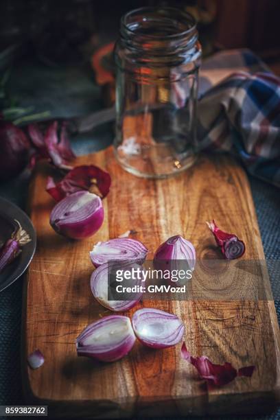 preserving organic red onions and red spring onions in jars - red onion imagens e fotografias de stock