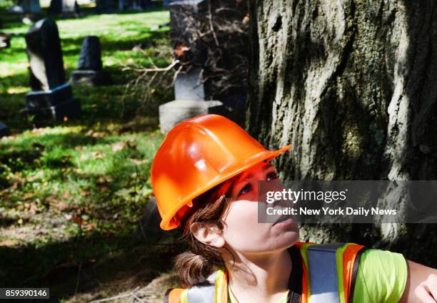 Jennifer Kotary, in charge of oak wilt protection operations at the NY Department of Environmental Conservation on Tuesday Oct. 3, 2017. She looks...