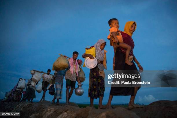 Thousands of Rohingya refugees fleeing from Myanmar walk along a muddy rice field after crossing the border in Palang Khali, Cox's Bazar, Bangladesh....