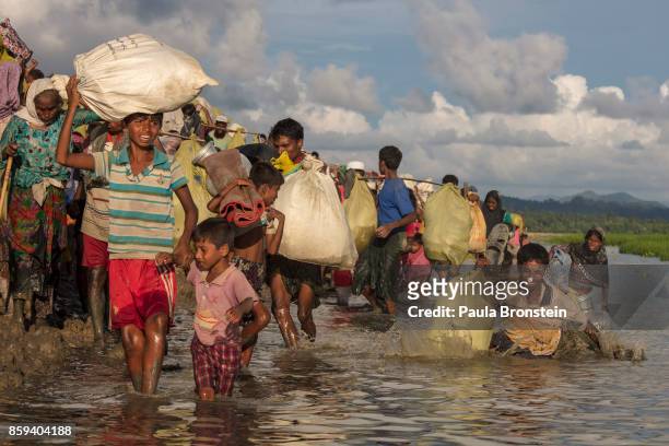 Thousands of Rohingya refugees fleeing from Myanmar walk along a muddy rice field after crossing the border in Palang Khali, Cox's Bazar, Bangladesh....