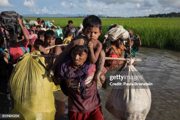 Thousands of Rohingya refugees fleeing from Myanmar walk along a muddy rice field after crossing the border in Palang Khali, Cox's Bazar, Bangladesh....