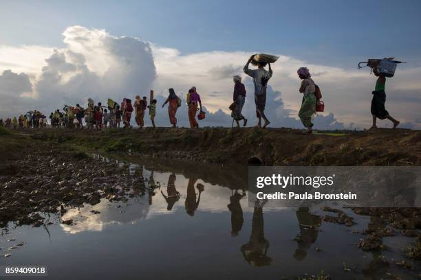 Thousands of Rohingya refugees fleeing from Myanmar walk along a muddy rice field after crossing the border in Palang Khali, Cox's Bazar, Bangladesh....