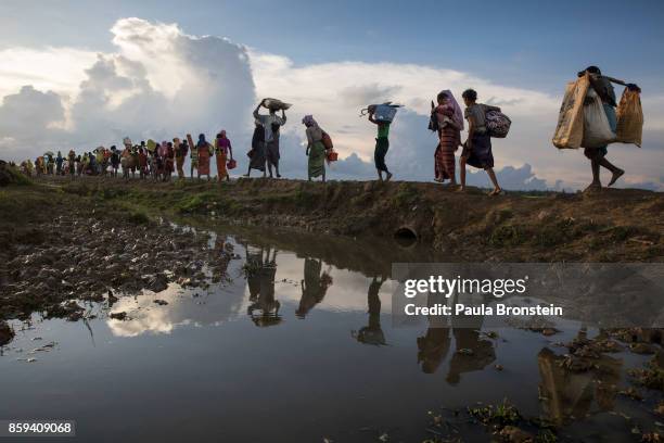 Thousands of Rohingya refugees fleeing from Myanmar walk along a muddy rice field after crossing the border in Palang Khali, Cox's Bazar, Bangladesh....